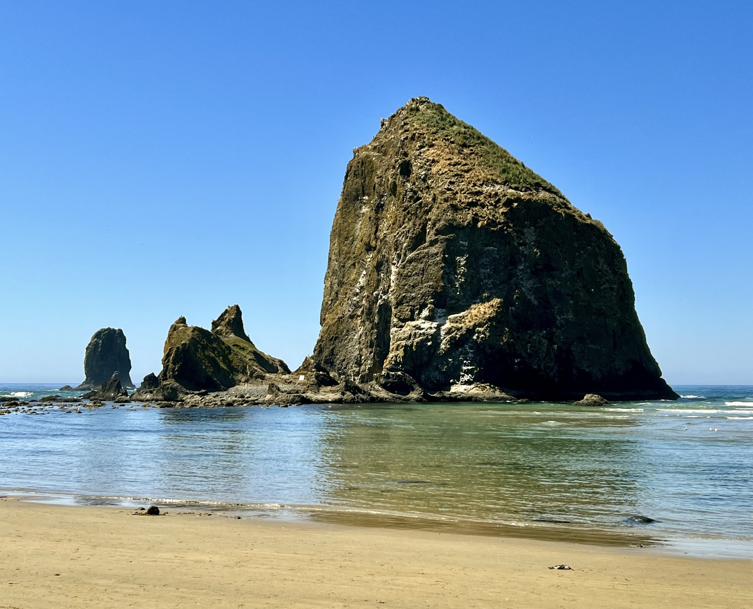 Discovering Haystack Rock and South Beach State Park