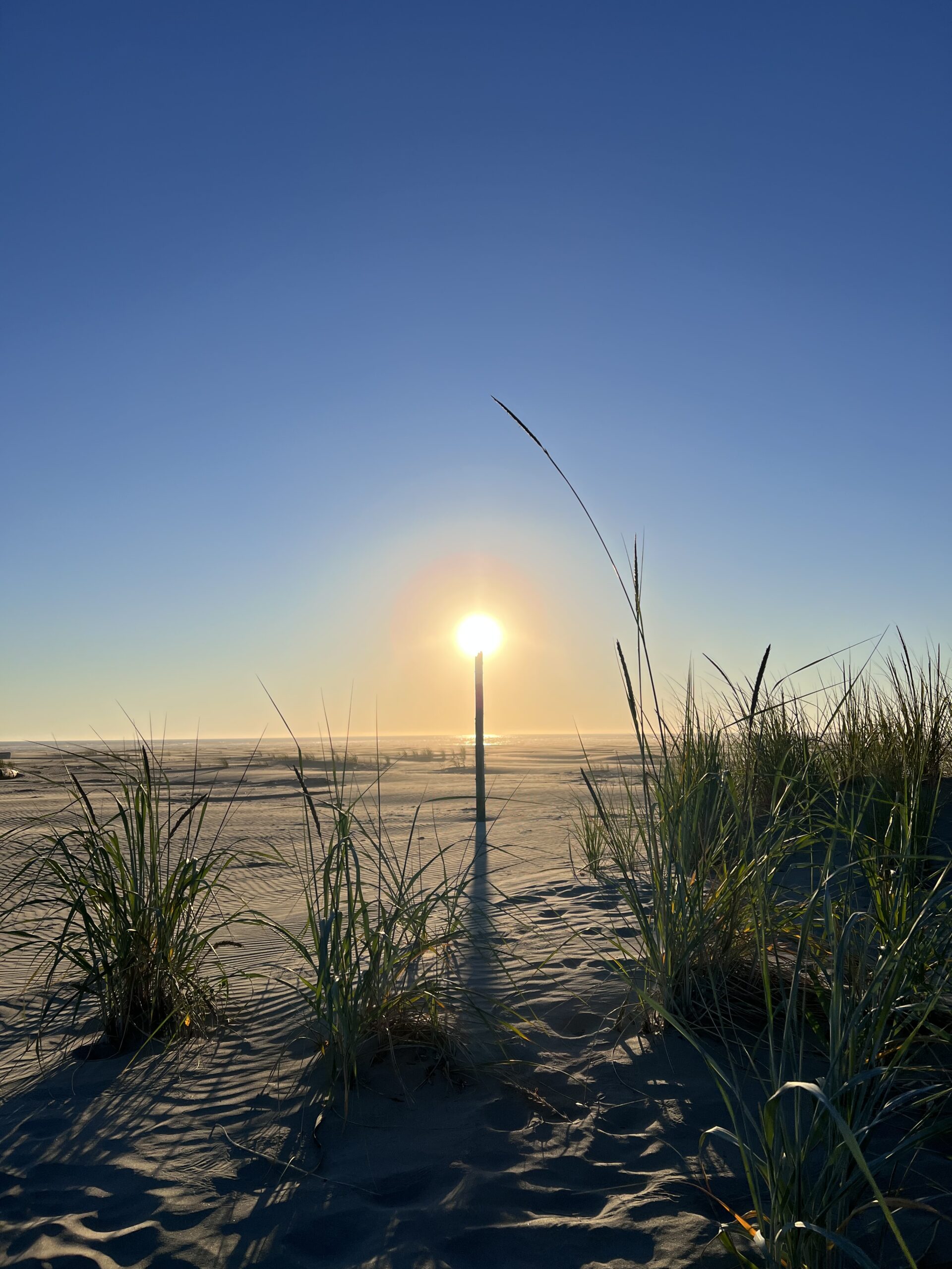 Scenic Stops and Sandy Beaches: A Cascadian Road Trip